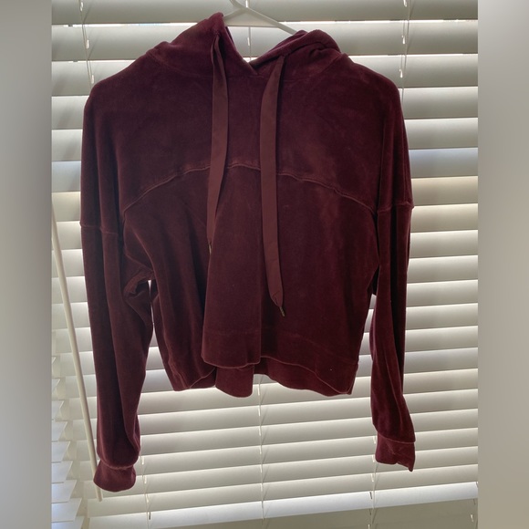 Amuse Society Velvet Sweatshirt - Picture 1 of 3